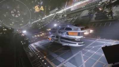 Mating season in Colonia