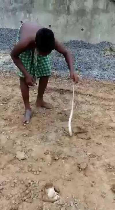 No disrespect to snakes 🐍🐍