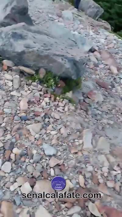 Chaltén: En medio de la emergencia por los incendios en el Parque Nacional Los Glaciares, encontraron a un turista haciendo fuego en una zona prohibida.