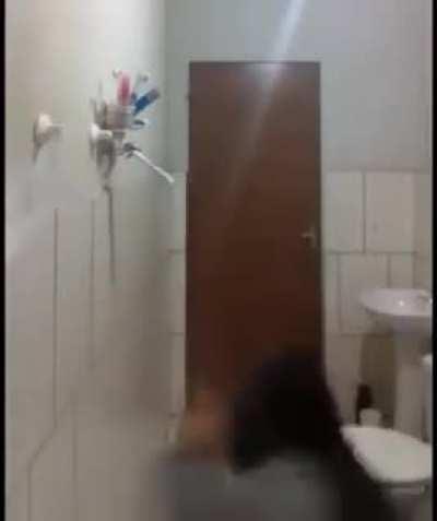 alpha rat #excuse the screams of terror