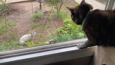 TRESPASSER! ENCROACHER! INTRUDER!