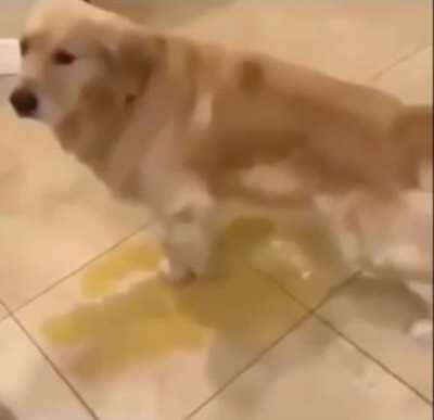 Yo cuando el profe no me deja ir al baño porque ya fue un compañero