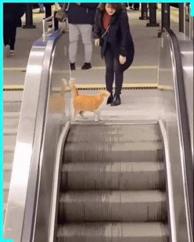 Remember if you don't step forward you will always be in the same place..