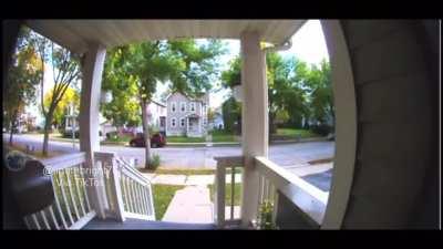 A perfect escape from the fuzz