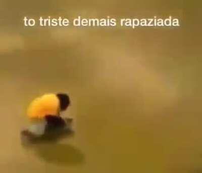 Se o adm me desse uma mamada eu ficaria feliz 😔👍