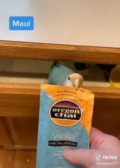 Maui, opener of wrappers, collector of plastic pieces. +20 efficiency, +80 cuteness, will bestow blessing of ari