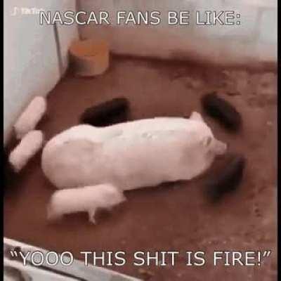 I don’t understand the appeal