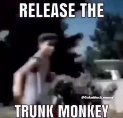 Tru(le)nk monkey