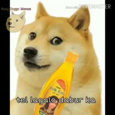 A friend sent this to me... Enjoy!