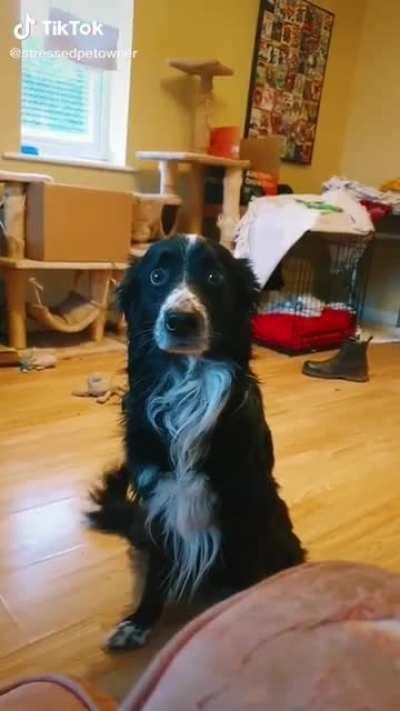 Is this how I was made?