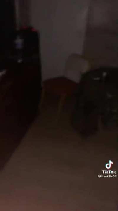 El reddit cuando beelce se va