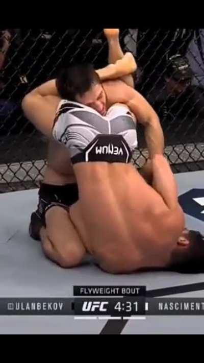 Showing dominance is not gay, right?