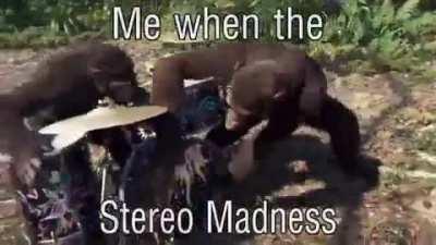 Me when the Stereo Madness