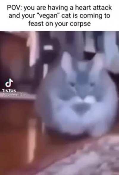 I am in severe agony in my final moments