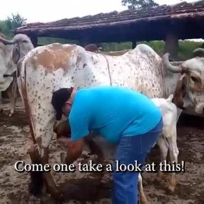 Капучино здорового человека