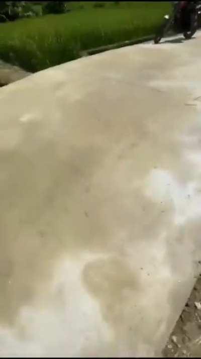 Even if it did make it out, what did they even expect the video to look like