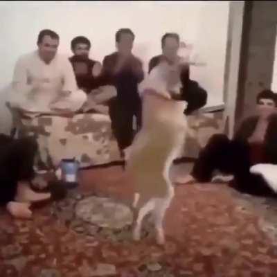 El Ohana en el que Nala hable por primera vez: