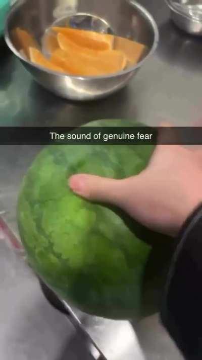 Moldy watermelon