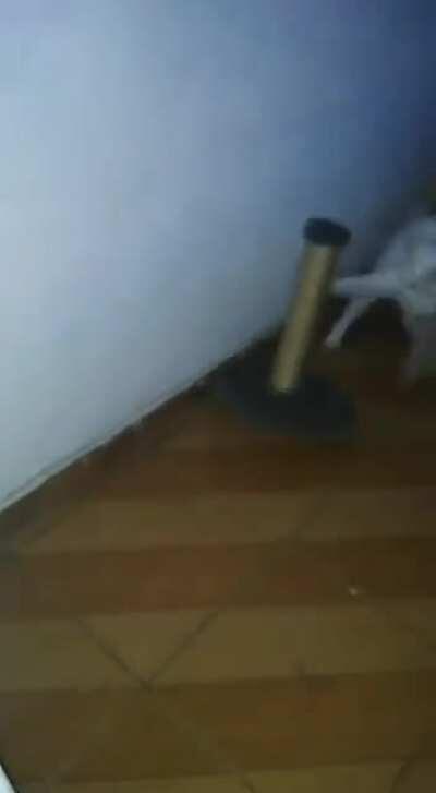 Get the hell out of here