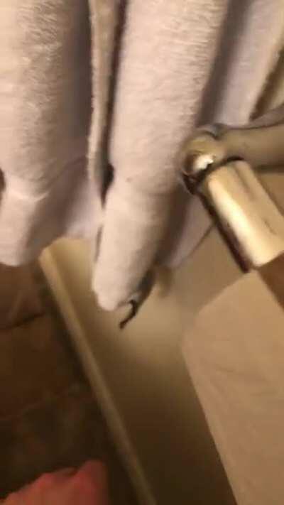 Desperate times call for desperate matters