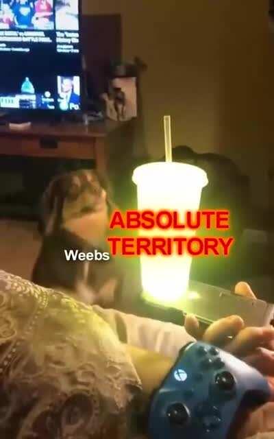 The Absolute Territory!