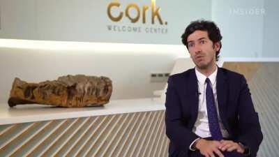 Extração de cortiça em Portugal