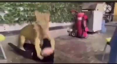 I don't have words for this.