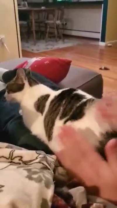 Luna's first Bongos from Dad (sister Riley is used to the bongo-beat)