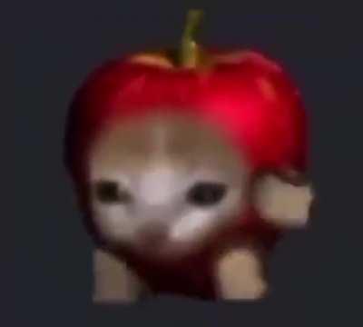 yo despues de darme cuenta que se puede ser cualquier genero XD