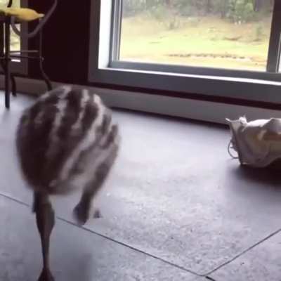 Ok, now I want one (must listen!)