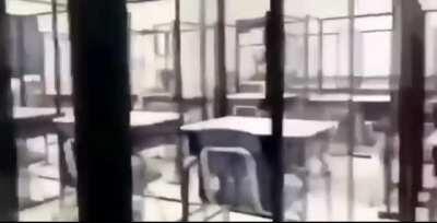 Behold the future of education!