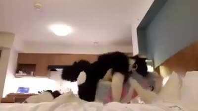 Why did God abandoned us?!?