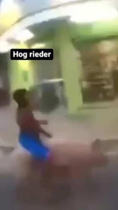 Clesh royal refernse??!?😱😱😱🥶🥶🐖👨🏿‍🦲