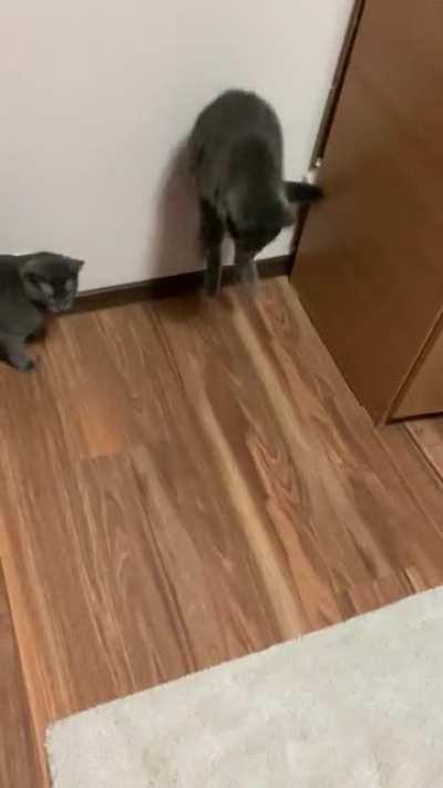 Playing boss with no success