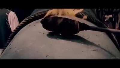 1453 best year of my life