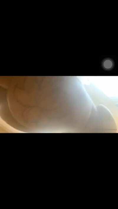 If you know you know 🤫 ( no sound )