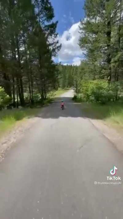 Brave little 3 year old goes down a steep hill with her father with her