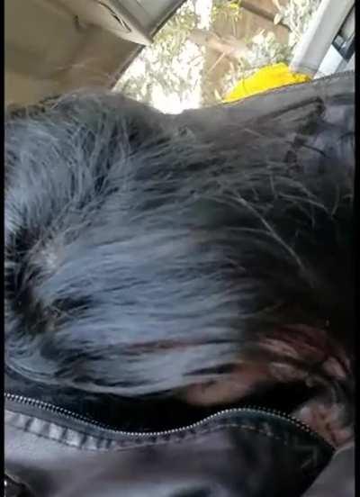 Cute Pakistani gf gives blowjob in car plus videocalls recorded[5Vids/35+Mins][All videos Link👇]