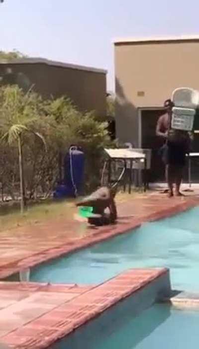 Moldy boys at 40 when their wives think they out there cheating