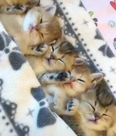 Small criminal and it's gang