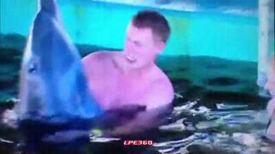 Giving a dolphin a kiss