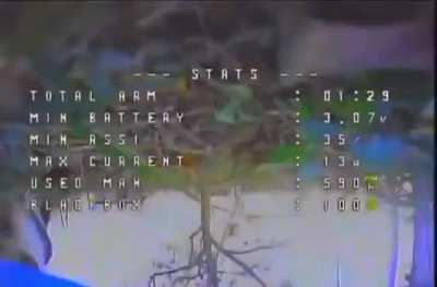 Cat vs. drone, cat wins. Ukraine. 