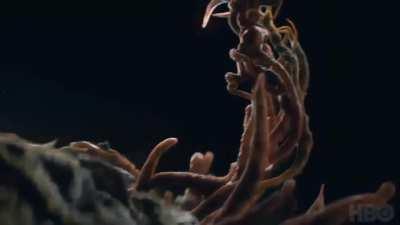 The HBO show's intro credits with the exact audio from the game