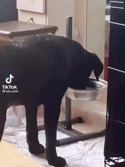 Let me just gargle this