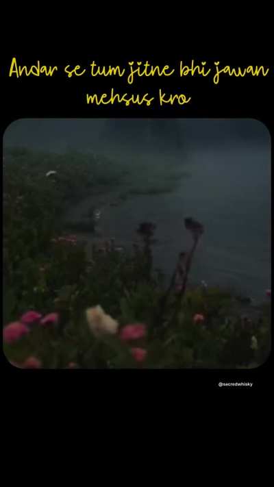 Dedicated too all my bros in their twenties who want to focus on “building their career”