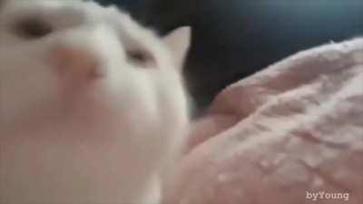 Everybody talks about how good the OG series intro is but no one talks about the OV outro