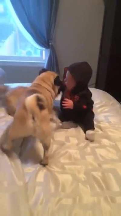 VicIOus DoGS atTACk a LiTtLe BaBy