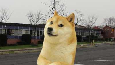 Dogelore ends Mr kill (headphone warning)