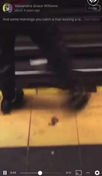 We ain’t Fw No 🐀’s around here🙅🏾‍♂️ every subway 🐀 Shot💥