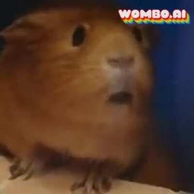 What's up with our sow 